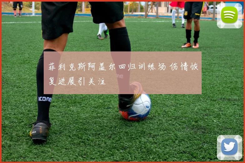 菲利克斯阿盖尔回归训练场 伤情恢复进展引关注